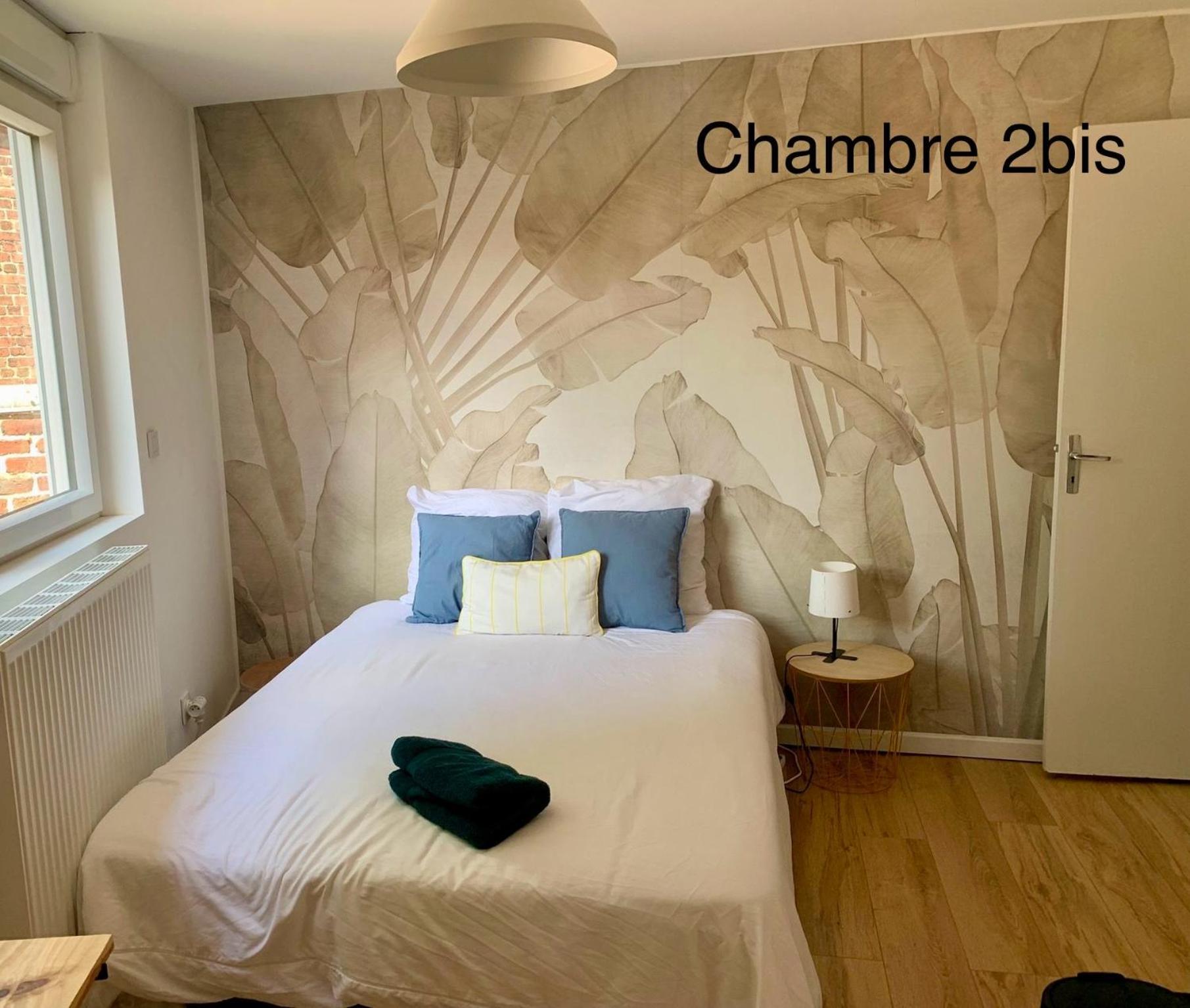 Maison 22 Couchages Prox Gare Et Centre Max 10 Lille