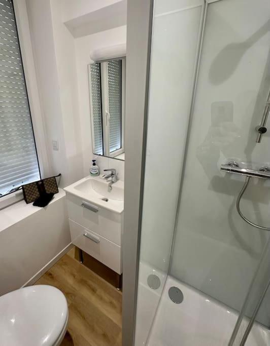 Vakantiehuis Maison 22 Couchages Prox Gare Et Centre Max 10